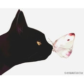 Chloe Zhixuan's photo