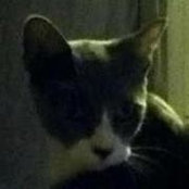 Steve Edwards's photo