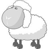 Kyle Dale's photo