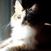 Timothy Gallagher's photo