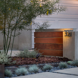 ロサンゼルスの中サイズの、夏のモダンスタイルのおしゃれな庭 (ゼリスケープ、半日向、コンクリート敷き ) の写真