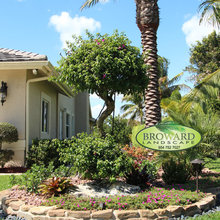 front yard