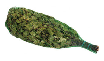 乾燥白樺ヴィヒタ 3束