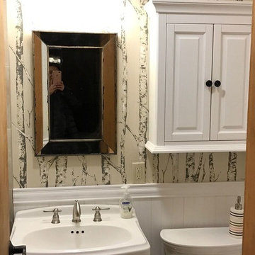 Cabin Renovation: Bathroom