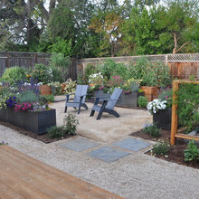 back yard