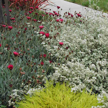 LINDA ESTRIN - BUTLER GARDEN