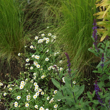 Small oxfordshire village garden