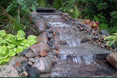 Inspiration for a landscaping in San Diego.