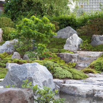 Teich- Moosgarten im Schwarzwald