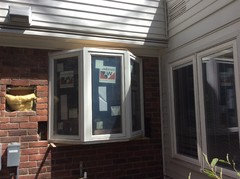 Garden Window in kitchen, who has one?