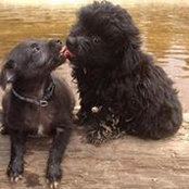 Connie Kisor's photo