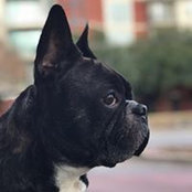 Aaron Yousey's photo