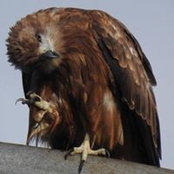 Foto de Sumika Sunada

