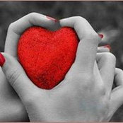 Samar Eldahab's photo
