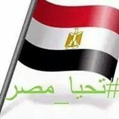 Mohamed Abdel-Latif's photo