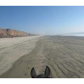 Jane Krohn's photo