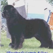 Lynne Anderson's photo
