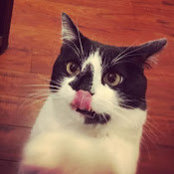 Photo de qi qi