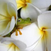 Mandy Carmichael's photo