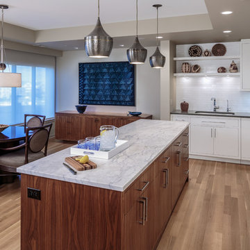 Minneapolis Condominium