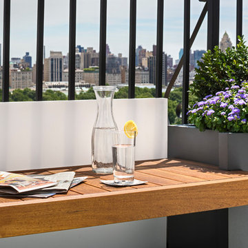 Central Park West Penthouse Terrace