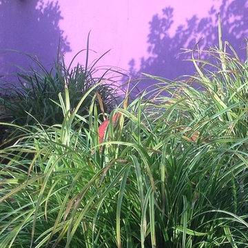 Plus de couleur