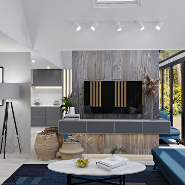 Design Project of the Living Room and Teenage Girl Room in a House