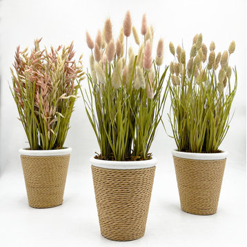 Set of 3 15" Preserved Rustic Oat, Canary, Pampas Grass, Pot