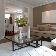 Living Room Ideas