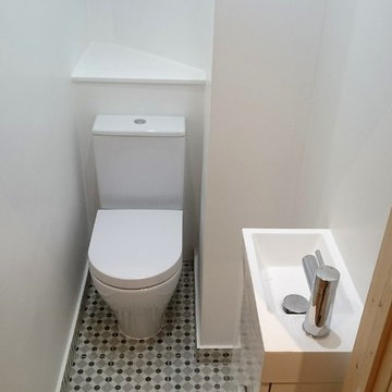 Small Downstairs toilette