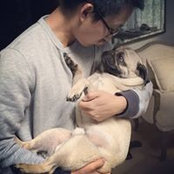 Yifeng Gui's photo