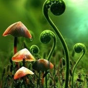 Sara Smith's photo