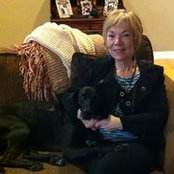 Carol Aiken's photo