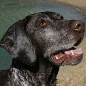 Mark Stumbaugh's photo