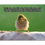 Lori Herron's photo