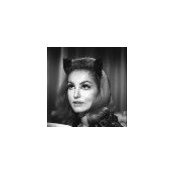 Kate Douglas's photo