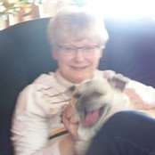 Annette Koster's photo