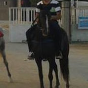 Mohammed Khoudaryさんの写真
