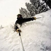Max S's photo