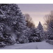 Joann Herrbach's photo