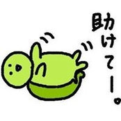 Hamao Hama's photo