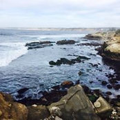 Errol Hingco's photo
