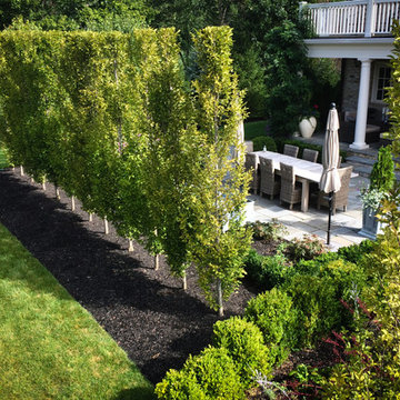 Parterre Garden