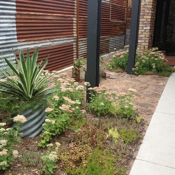 Dallas, TX - Modern Pool & Landscape - Casa Bonita