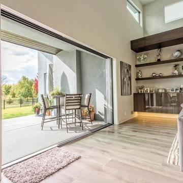 Sliding Patio Doors