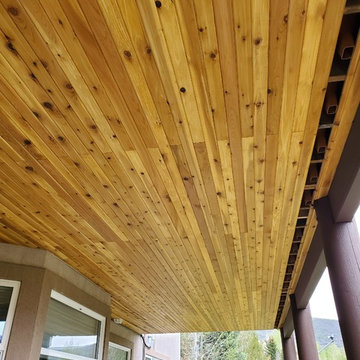 Trex spiced rum with havana gold accents. Existing railing modifications.