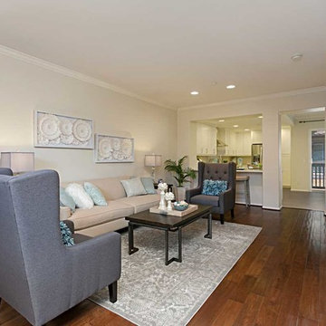 Solana Beach Living Room Remodel