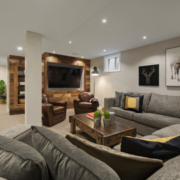 Full Basement Renovation