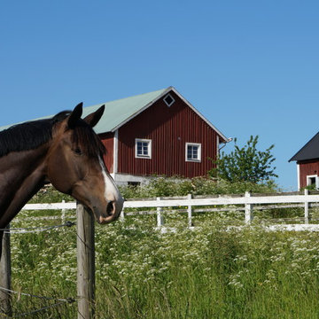 Swedish barn house