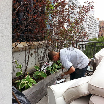 Manhattan Rooftop garden planting